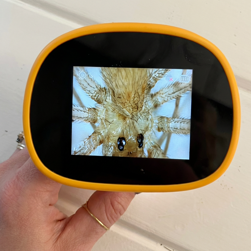 Lilleknips Oppdagermikroskop - Et digitalt mikroskop for nysgjerrige barn